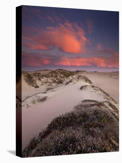 Guadalupe-Nipomo Dunes National Wildlife Refuge, Guadalupe, California:-Ian Shive-Stretched Canvas