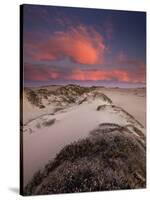 Guadalupe-Nipomo Dunes National Wildlife Refuge, Guadalupe, California:-Ian Shive-Stretched Canvas