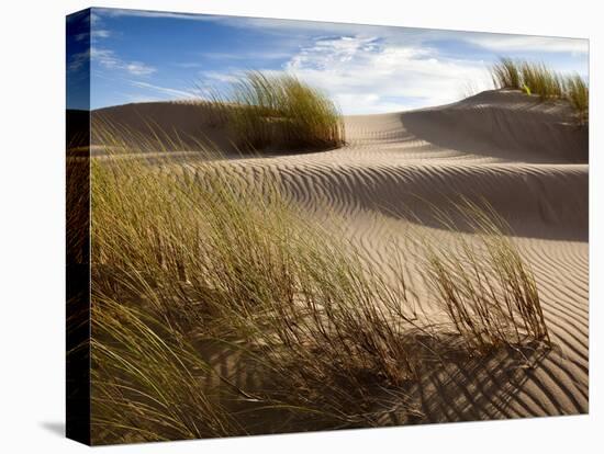 Guadalupe-Nipomo Dunes National Wildlife Refuge, Guadalupe, California:-Ian Shive-Stretched Canvas