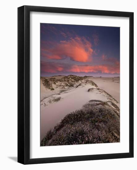Guadalupe-Nipomo Dunes National Wildlife Refuge, Guadalupe, California:-Ian Shive-Framed Photographic Print