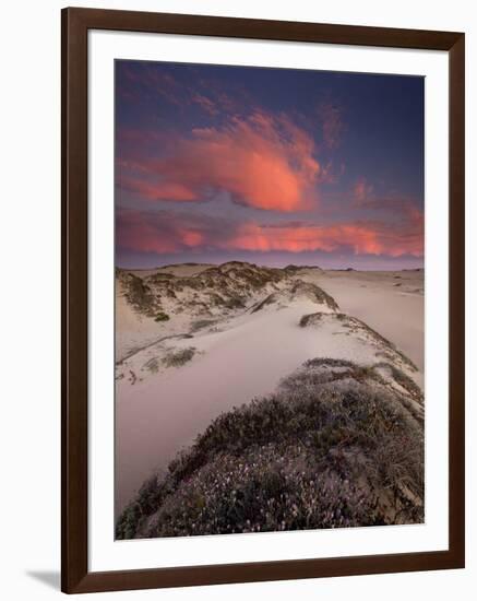 Guadalupe-Nipomo Dunes National Wildlife Refuge, Guadalupe, California:-Ian Shive-Framed Photographic Print