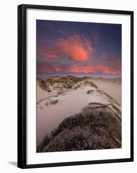 Guadalupe-Nipomo Dunes National Wildlife Refuge, Guadalupe, California:-Ian Shive-Framed Photographic Print