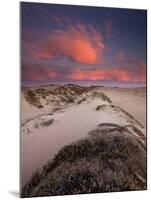 Guadalupe-Nipomo Dunes National Wildlife Refuge, Guadalupe, California:-Ian Shive-Mounted Photographic Print