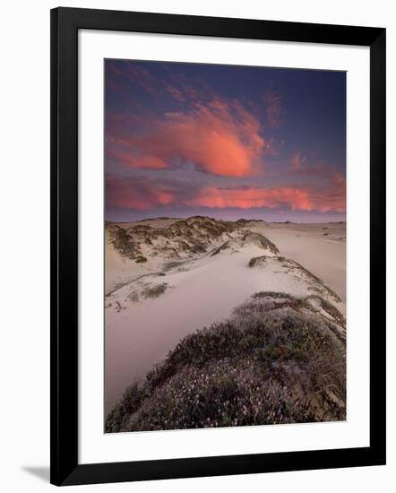 Guadalupe-Nipomo Dunes National Wildlife Refuge, Guadalupe, California:-Ian Shive-Framed Photographic Print