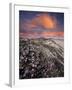 Guadalupe-Nipomo Dunes National Wildlife Refuge, Guadalupe, California:-Ian Shive-Framed Photographic Print