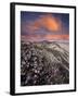 Guadalupe-Nipomo Dunes National Wildlife Refuge, Guadalupe, California:-Ian Shive-Framed Photographic Print