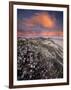 Guadalupe-Nipomo Dunes National Wildlife Refuge, Guadalupe, California:-Ian Shive-Framed Photographic Print