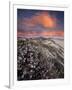 Guadalupe-Nipomo Dunes National Wildlife Refuge, Guadalupe, California:-Ian Shive-Framed Photographic Print