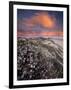 Guadalupe-Nipomo Dunes National Wildlife Refuge, Guadalupe, California:-Ian Shive-Framed Photographic Print