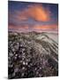 Guadalupe-Nipomo Dunes National Wildlife Refuge, Guadalupe, California:-Ian Shive-Mounted Photographic Print