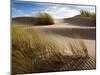 Guadalupe-Nipomo Dunes National Wildlife Refuge, Guadalupe, California:-Ian Shive-Mounted Photographic Print