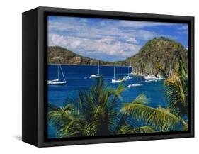 Guadeloupe, French Antilles, Caribbean, West Indies-Sylvain Grandadam-Framed Stretched Canvas