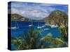 Guadeloupe, French Antilles, Caribbean, West Indies-Sylvain Grandadam-Stretched Canvas