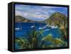 Guadeloupe, French Antilles, Caribbean, West Indies-Sylvain Grandadam-Framed Stretched Canvas