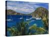 Guadeloupe, French Antilles, Caribbean, West Indies-Sylvain Grandadam-Stretched Canvas