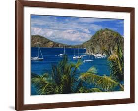 Guadeloupe, French Antilles, Caribbean, West Indies-Sylvain Grandadam-Framed Photographic Print