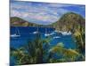 Guadeloupe, French Antilles, Caribbean, West Indies-Sylvain Grandadam-Mounted Photographic Print