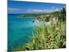 Guadeloupe, French Antilles, West Indies, Caribbean-J P De Manne-Mounted Photographic Print