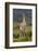 Guanaco and baby, Andes Mountain, Torres del Paine National Park, Chile. Patagonia-Adam Jones-Framed Photographic Print