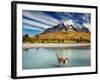 Guanaco Crossing the River in Torres Del Paine National Park, Patagonia, Chile-Dmitry Pichugin-Framed Photographic Print