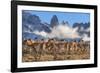 Guanaco herd with the 'Towers' rock formation in background, Chile-Nick Garbutt-Framed Photographic Print