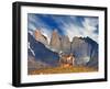 Guanaco in Torres Del Paine National Park, Patagonia, Chile-Dmitry Pichugin-Framed Photographic Print