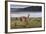 Guanaco (Lama Guanicoe) on Lake Foreshore,Torres Del Paine National Park, Patagonia-Eleanor Scriven-Framed Photographic Print