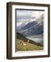 Guanaco (Lama Guanicoe) with Mountains and Lago Nordenskjsld in Background, Chile, South America-James Hager-Framed Photographic Print