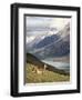 Guanaco (Lama Guanicoe) with Mountains and Lago Nordenskjsld in Background, Chile, South America-James Hager-Framed Photographic Print