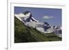 Guanaco on steep slope, Torres del Paine National Park, Chile, Patagonia, Patagonia-Adam Jones-Framed Photographic Print