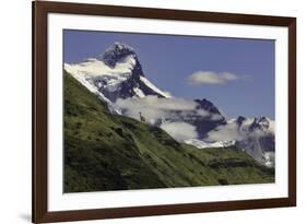 Guanaco on steep slope, Torres del Paine National Park, Chile, Patagonia, Patagonia-Adam Jones-Framed Photographic Print