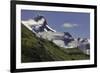 Guanaco on steep slope, Torres del Paine National Park, Chile, Patagonia, Patagonia-Adam Jones-Framed Photographic Print
