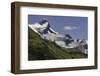 Guanaco on steep slope, Torres del Paine National Park, Chile, Patagonia, Patagonia-Adam Jones-Framed Premium Photographic Print