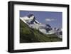 Guanaco on steep slope, Torres del Paine National Park, Chile, Patagonia, Patagonia-Adam Jones-Framed Premium Photographic Print