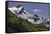 Guanaco on steep slope, Torres del Paine National Park, Chile, Patagonia, Patagonia-Adam Jones-Framed Stretched Canvas