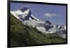 Guanaco on steep slope, Torres del Paine National Park, Chile, Patagonia, Patagonia-Adam Jones-Framed Photographic Print