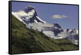 Guanaco on steep slope, Torres del Paine National Park, Chile, Patagonia, Patagonia-Adam Jones-Framed Stretched Canvas