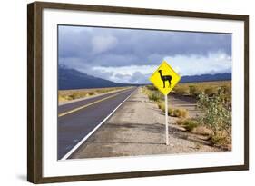 Guanaco Sign, Argentina-Peter Groenendijk-Framed Photographic Print