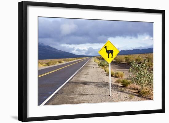 Guanaco Sign, Argentina-Peter Groenendijk-Framed Photographic Print