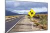 Guanaco Sign, Argentina-Peter Groenendijk-Mounted Photographic Print