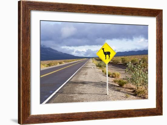 Guanaco Sign, Argentina-Peter Groenendijk-Framed Photographic Print