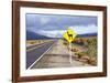 Guanaco Sign, Argentina-Peter Groenendijk-Framed Photographic Print