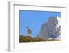 Guanaco Standing Near Cerro Paine Grande-Paul Souders-Framed Premium Photographic Print