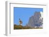 Guanaco Standing Near Cerro Paine Grande-Paul Souders-Framed Photographic Print