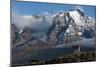 Guanaco with Cordiera del Paine in Back, Patagonia, Magellanic, Chile-Pete Oxford-Mounted Photographic Print