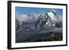 Guanaco with Cordiera del Paine in Back, Patagonia, Magellanic, Chile-Pete Oxford-Framed Photographic Print