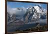 Guanaco with Cordiera del Paine in Back, Patagonia, Magellanic, Chile-Pete Oxford-Framed Photographic Print