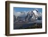 Guanaco with Cordiera del Paine in Back, Patagonia, Magellanic, Chile-Pete Oxford-Framed Photographic Print