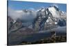 Guanaco with Cordiera del Paine in Back, Patagonia, Magellanic, Chile-Pete Oxford-Stretched Canvas