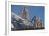 Guanaco with Cordiera del Paine, Torres del Paine, Patagonia, Chile-Pete Oxford-Framed Photographic Print